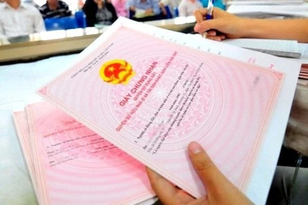 chia đất thừa kế không có di chúc