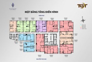 chung cư Discovery Central