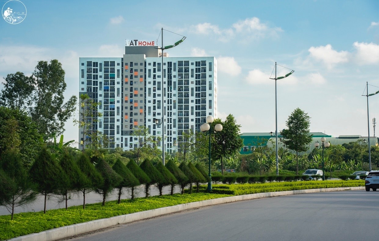 noxh thanh hóa