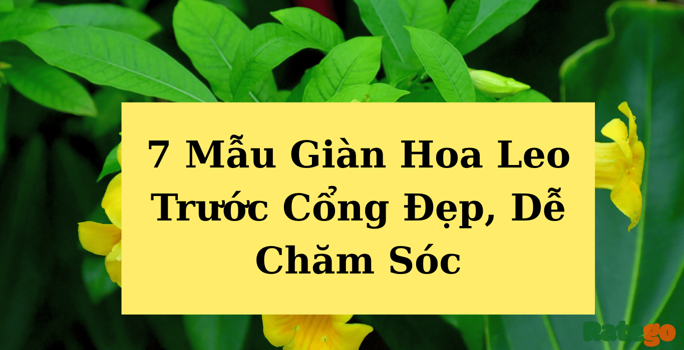 Kenhduan - Kênh dự án